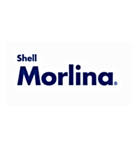 Shell Morlina